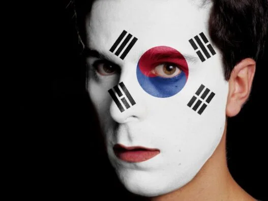 Fan af Sydkoreas fodboldlandshold