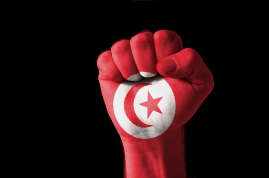 Fan af Tunesiens fodboldlandshold