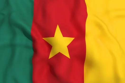 Cameroun flag